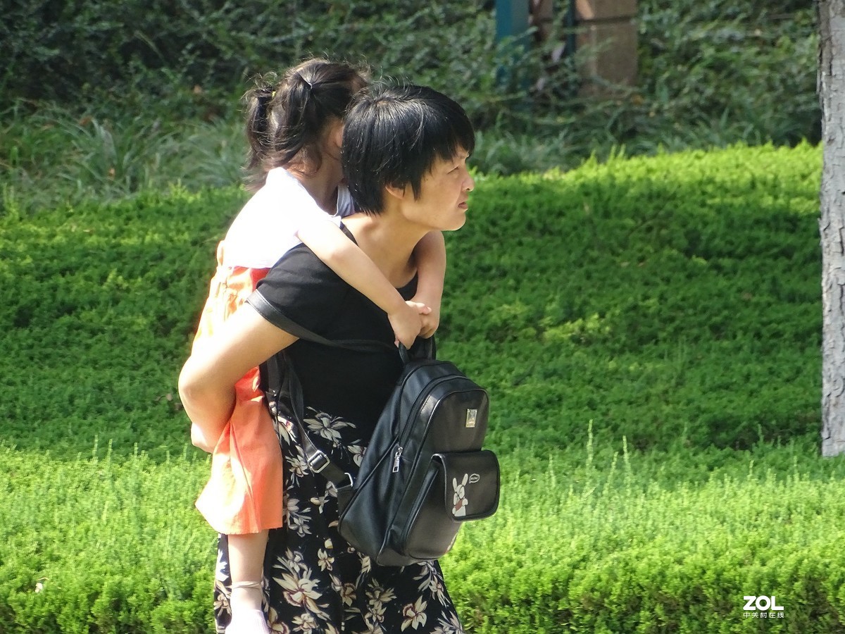 植物园里的游客-1