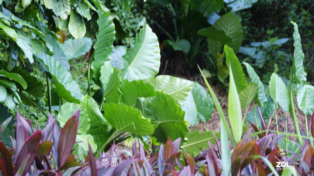 入手相机之《有请大师》