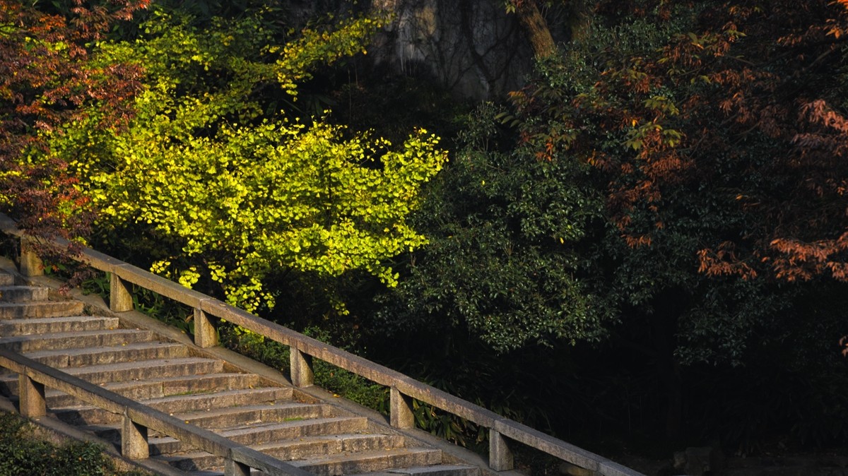 #2014·我的尼康摄影精彩回顾#——用镜头感受四季