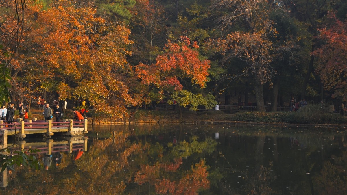 #2014·我的尼康摄影精彩回顾#——用镜头感受四季