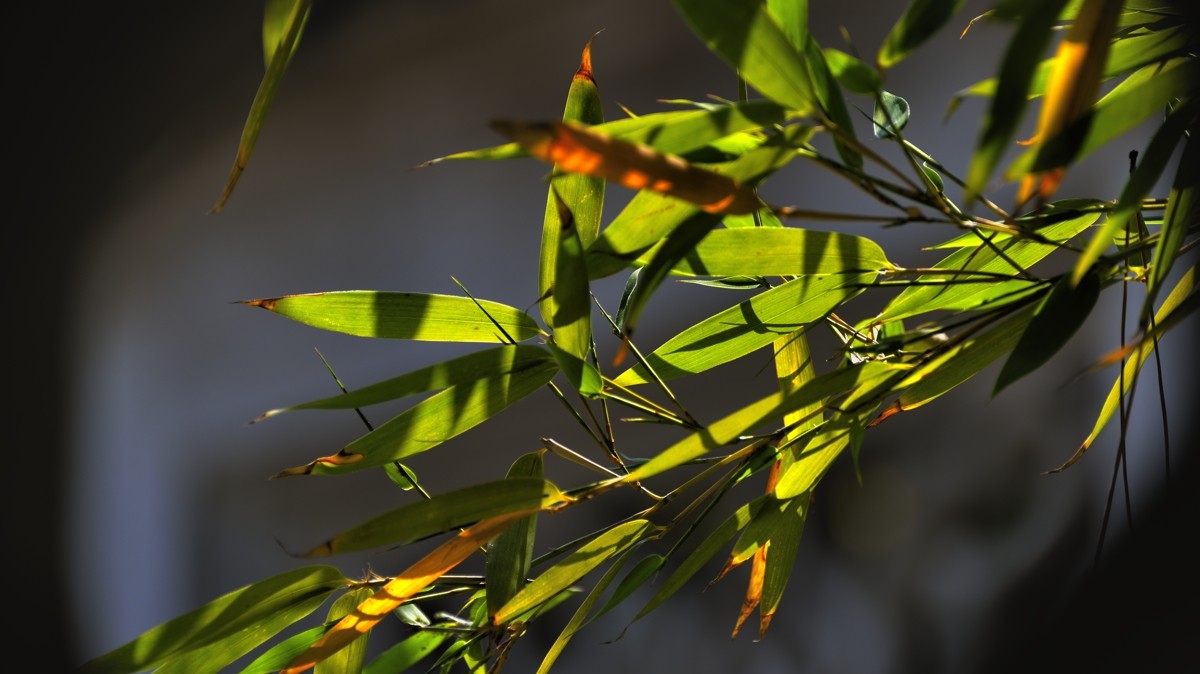 #2014·我的尼康摄影精彩回顾#——用镜头感受四季