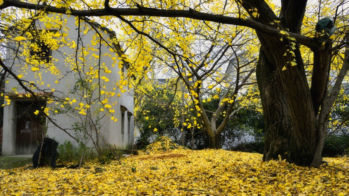 #2014·我的尼康摄影精彩回顾#——用镜头感受四季