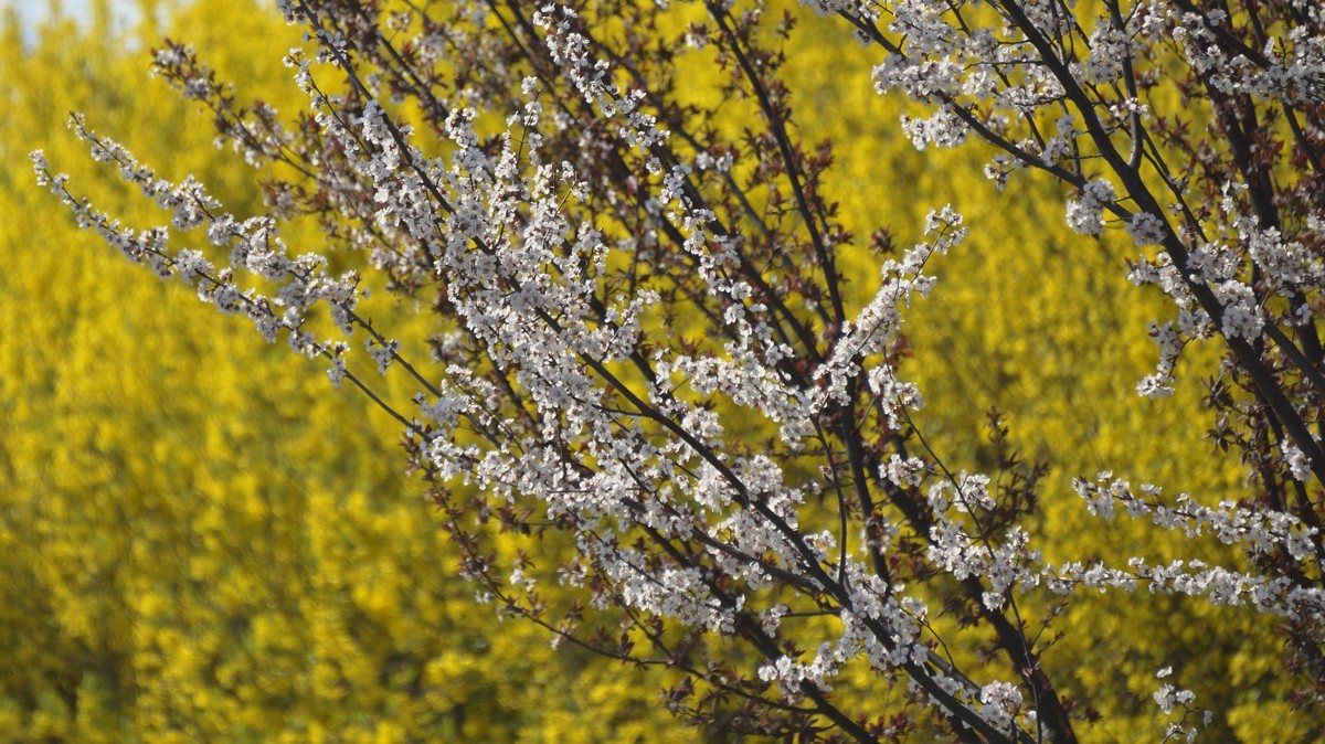 #2014·我的尼康摄影精彩回顾#——用镜头感受四季