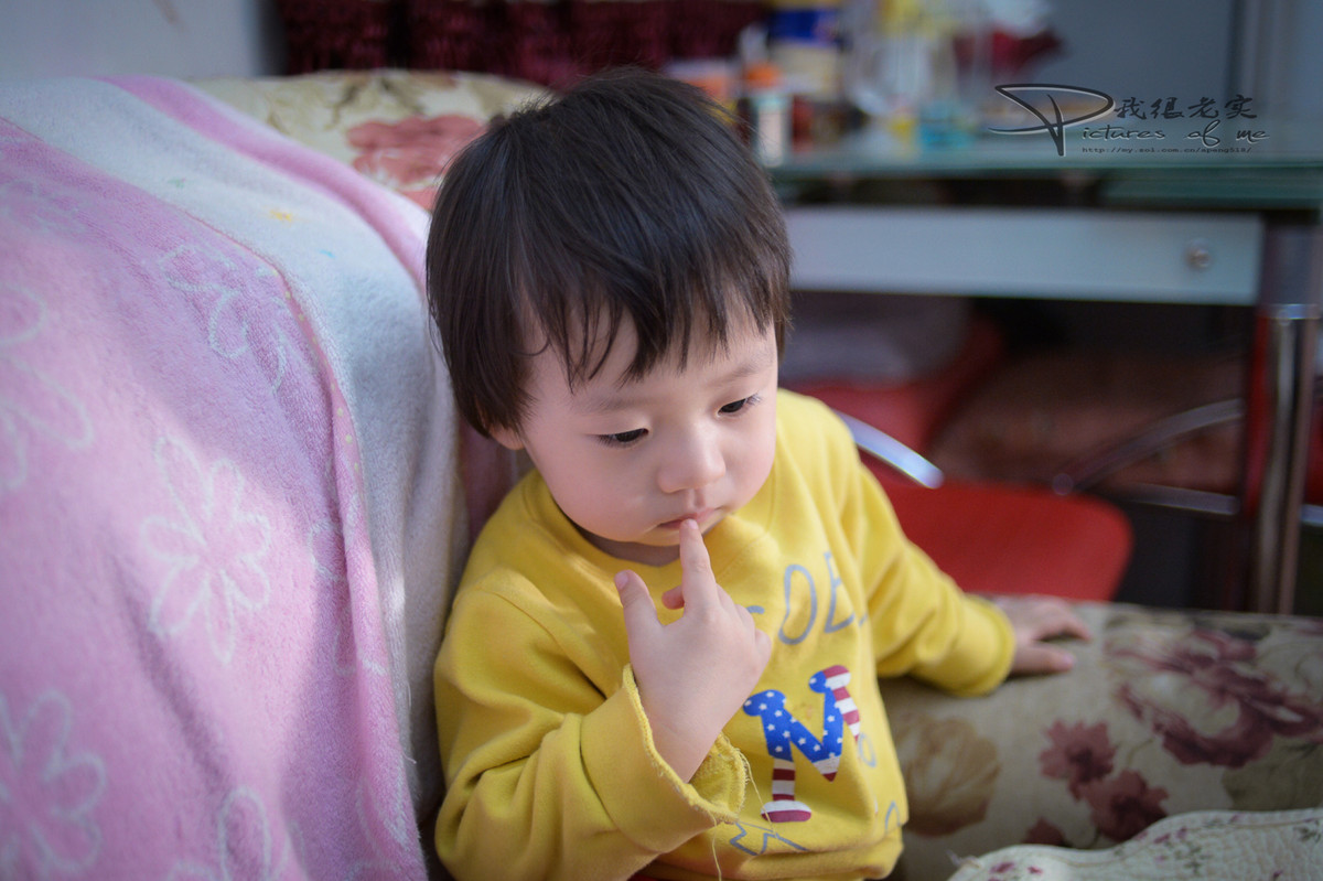 嘟嘟做模特------ 希望壹缕·香 神庙居士两位版主把小钢炮板块 越办越好  新年快乐