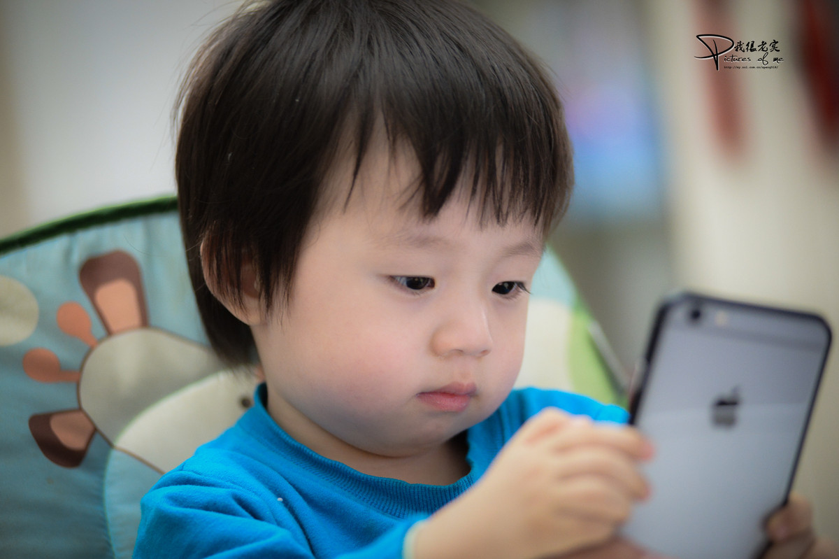 嘟嘟做模特------ 希望壹缕·香 神庙居士两位版主把小钢炮板块 越办越好  新年快乐