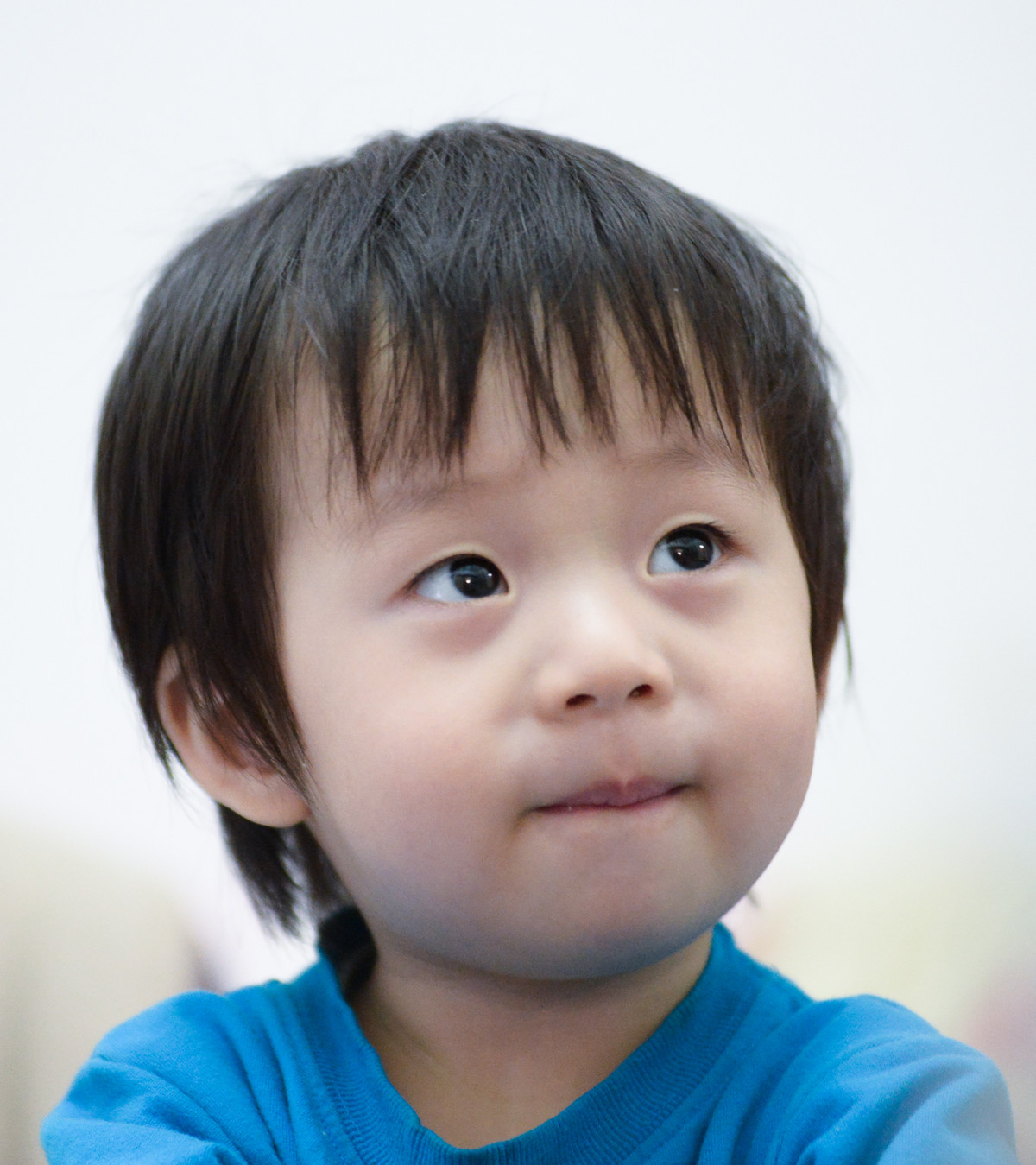 嘟嘟做模特------ 希望壹缕·香 神庙居士两位版主把小钢炮板块 越办越好  新年快乐
