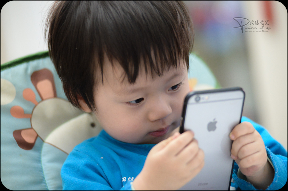 嘟嘟做模特------ 希望壹缕·香 神庙居士两位版主把小钢炮板块 越办越好  新年快乐