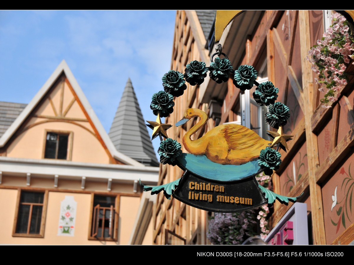 新入尼康18-200VR试镜；画质细腻锐利，色彩鲜艳饱满，好头！