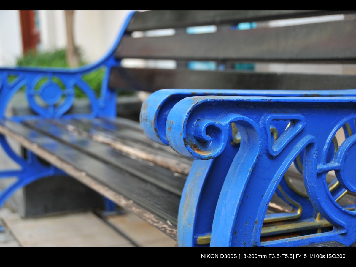 新入尼康18-200VR试镜；画质细腻锐利，色彩鲜艳饱满，好头！