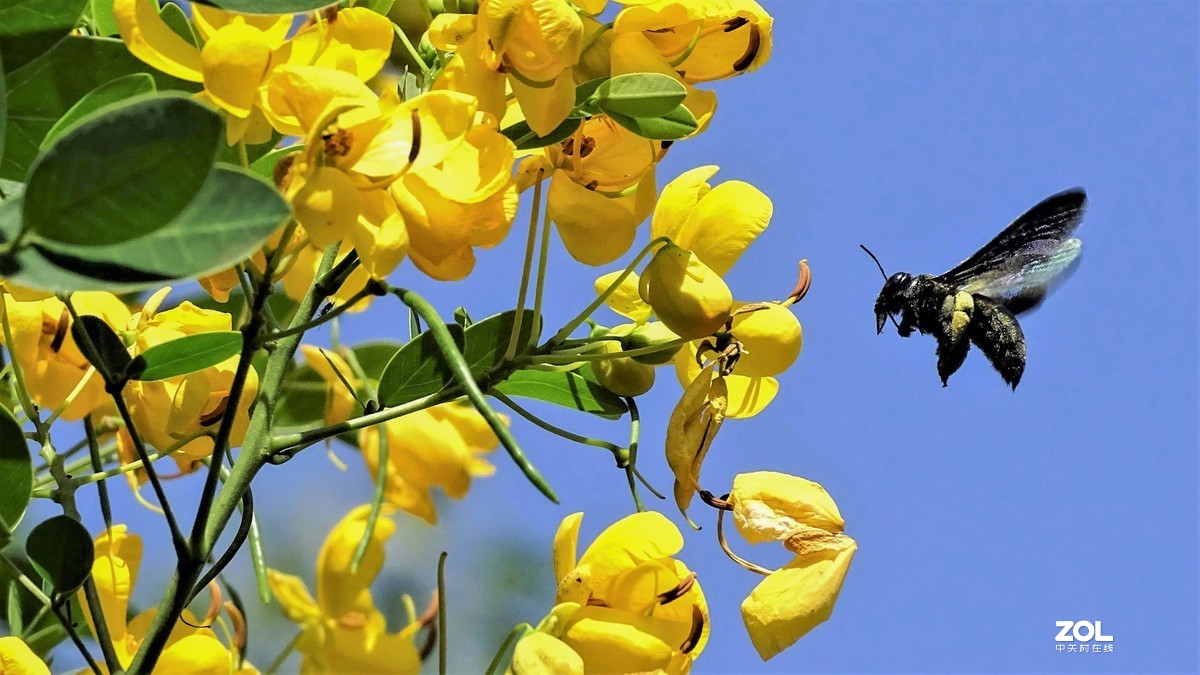 从微距到长焦，超值啦。