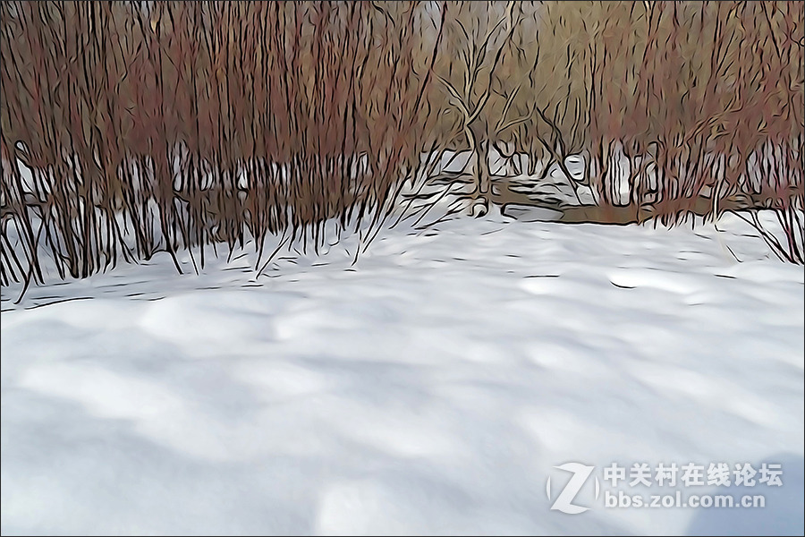 用HX400的“插图”模式拍摄的【雪景】