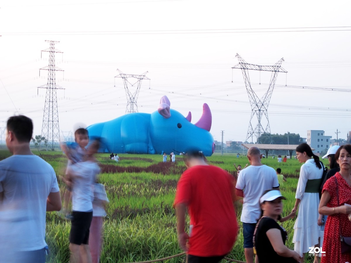 茂名市牙象村~大地艺术公园