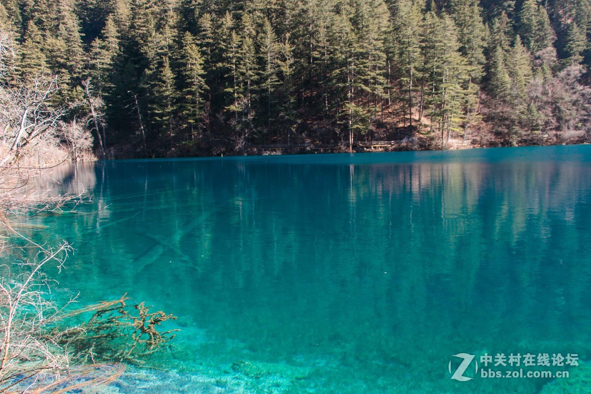 九寨之美    拍的不好不要介意