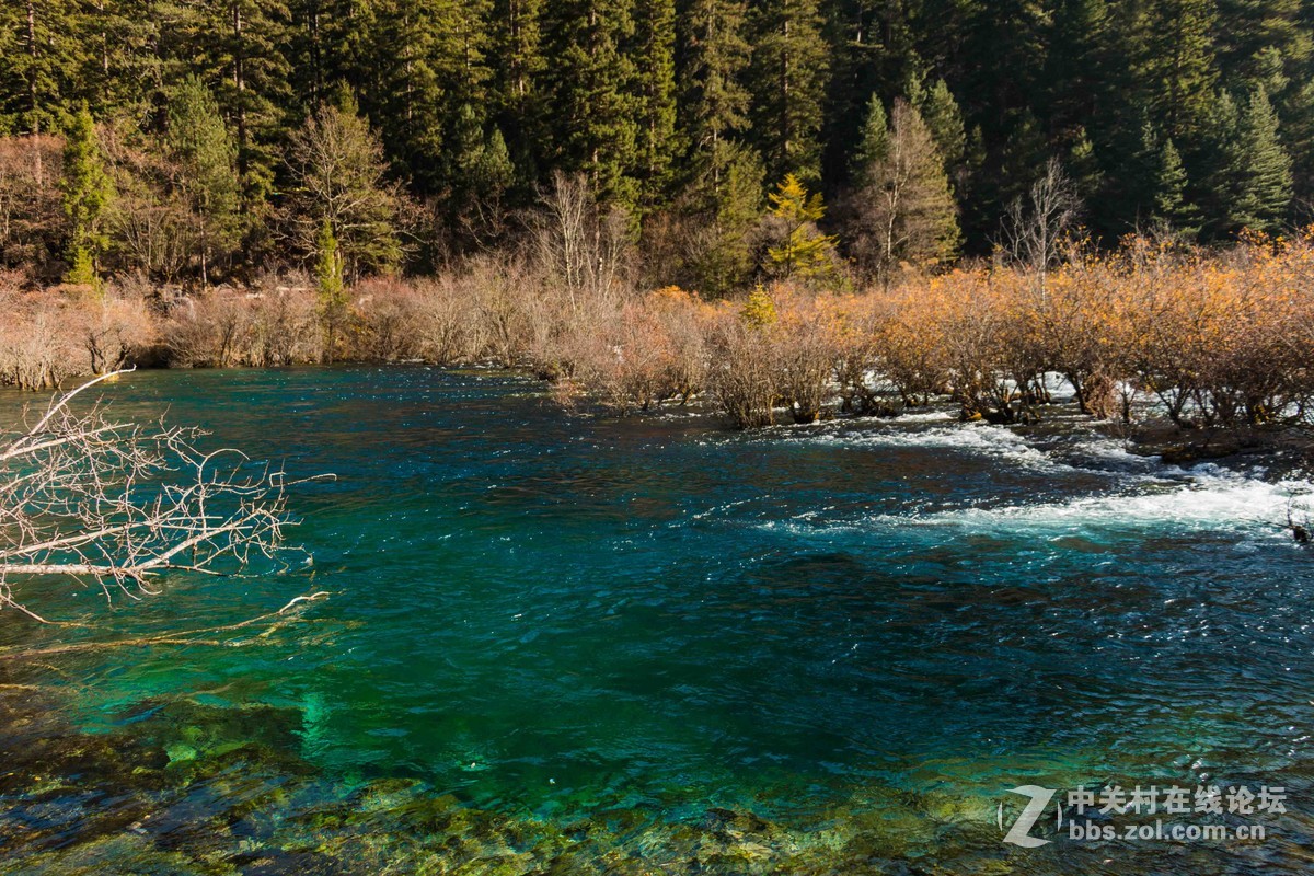 九寨之美    拍的不好不要介意