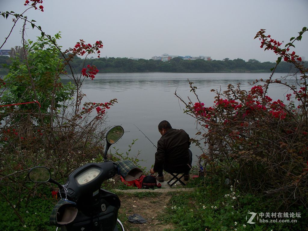 晨练随拍——阴天下的尝试