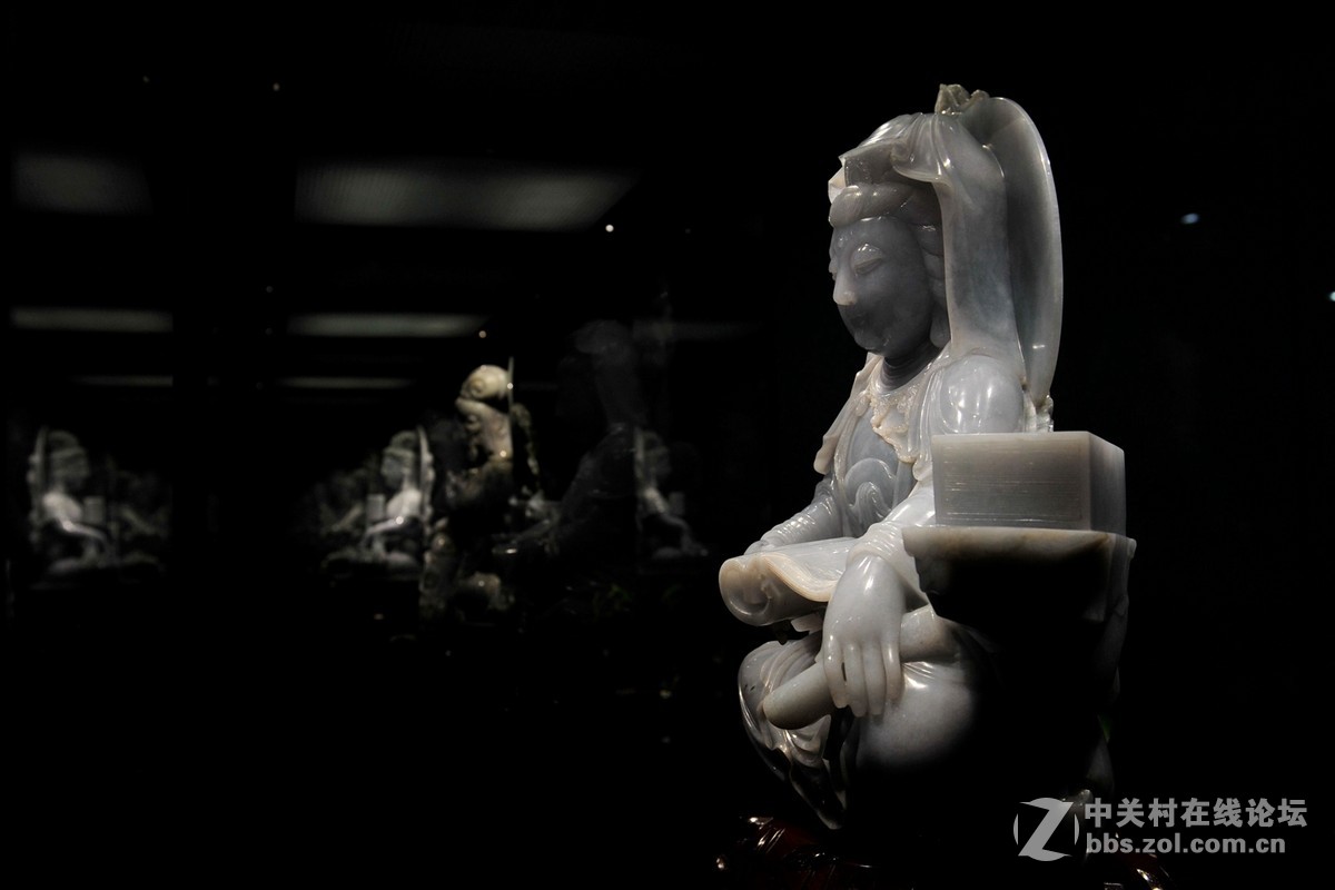 菩提萨埵--文博园摄（旭中冰雪)