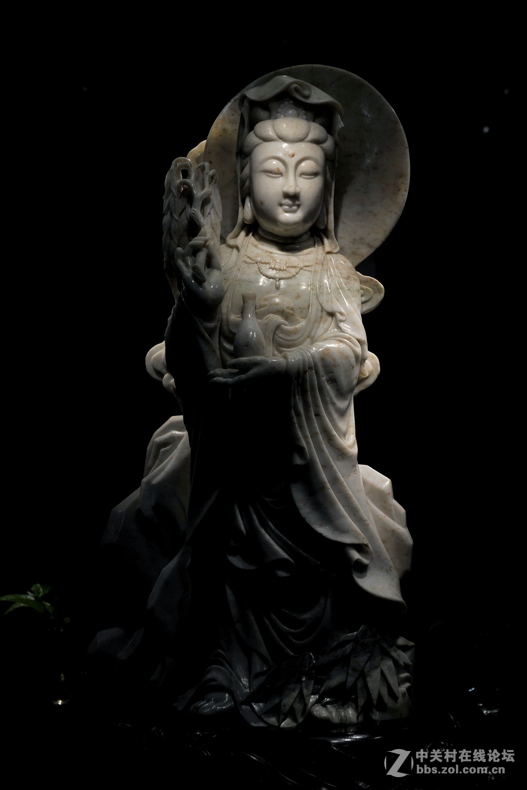 菩提萨埵--文博园摄（旭中冰雪)