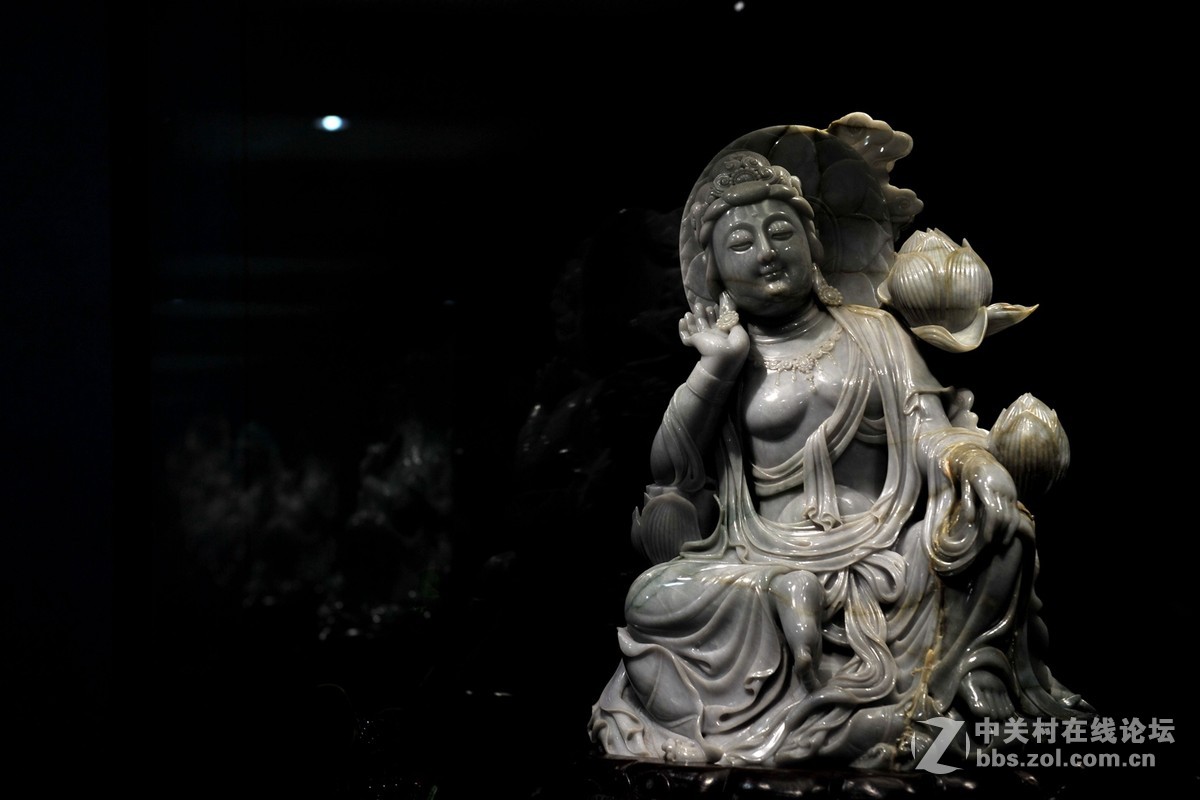 菩提萨埵--文博园摄（旭中冰雪)