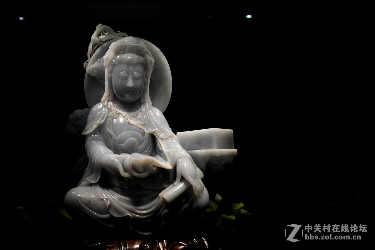 菩提萨埵--文博园摄（旭中冰雪)