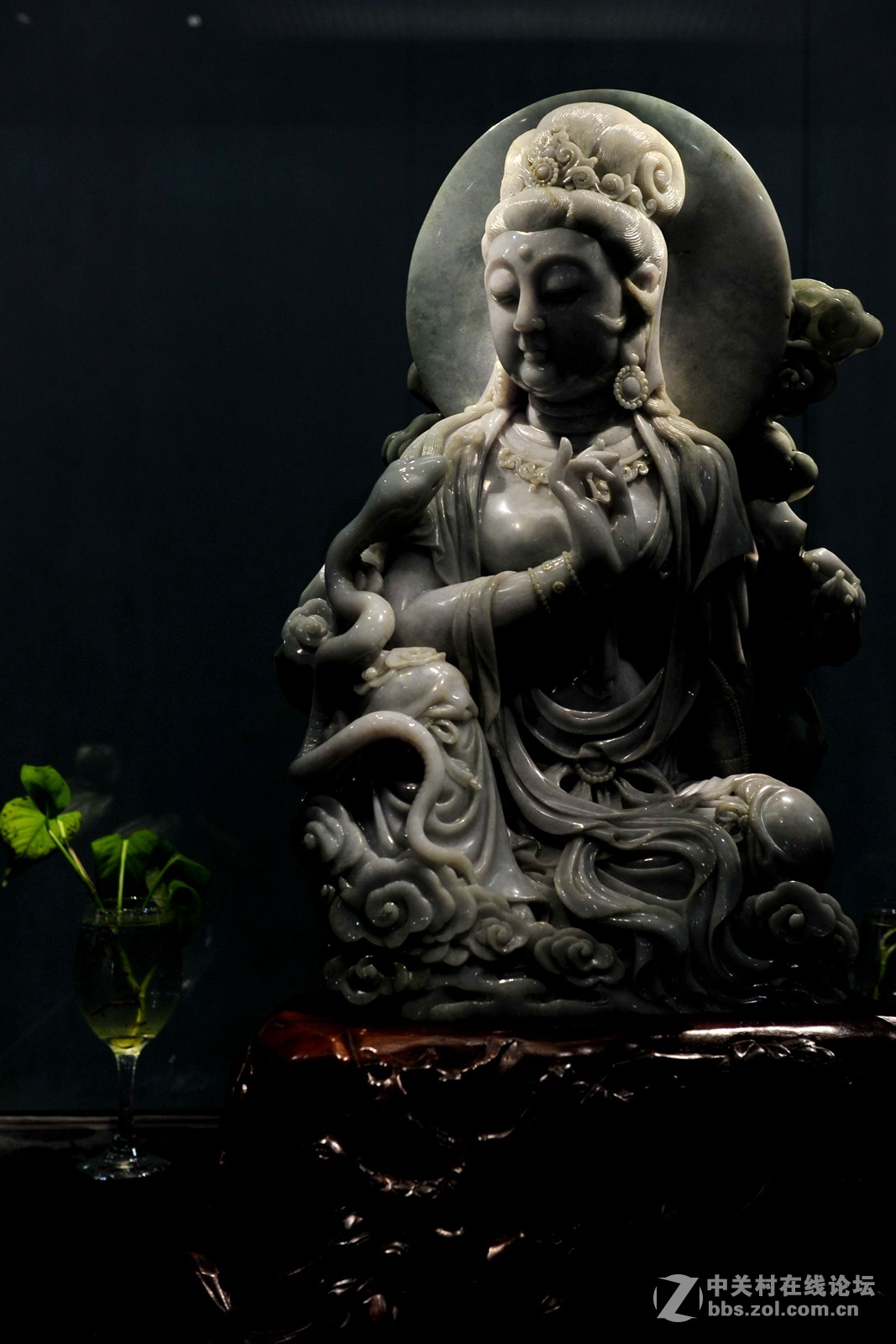 菩提萨埵--文博园摄（旭中冰雪)