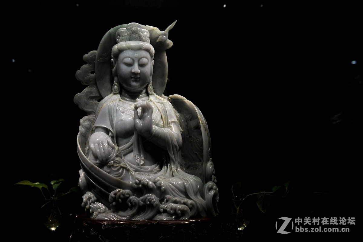 菩提萨埵--文博园摄（旭中冰雪)