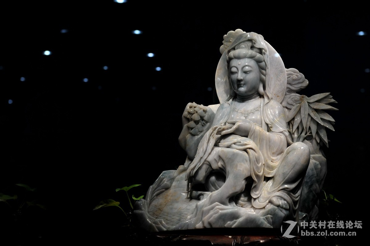 菩提萨埵--文博园摄（旭中冰雪)