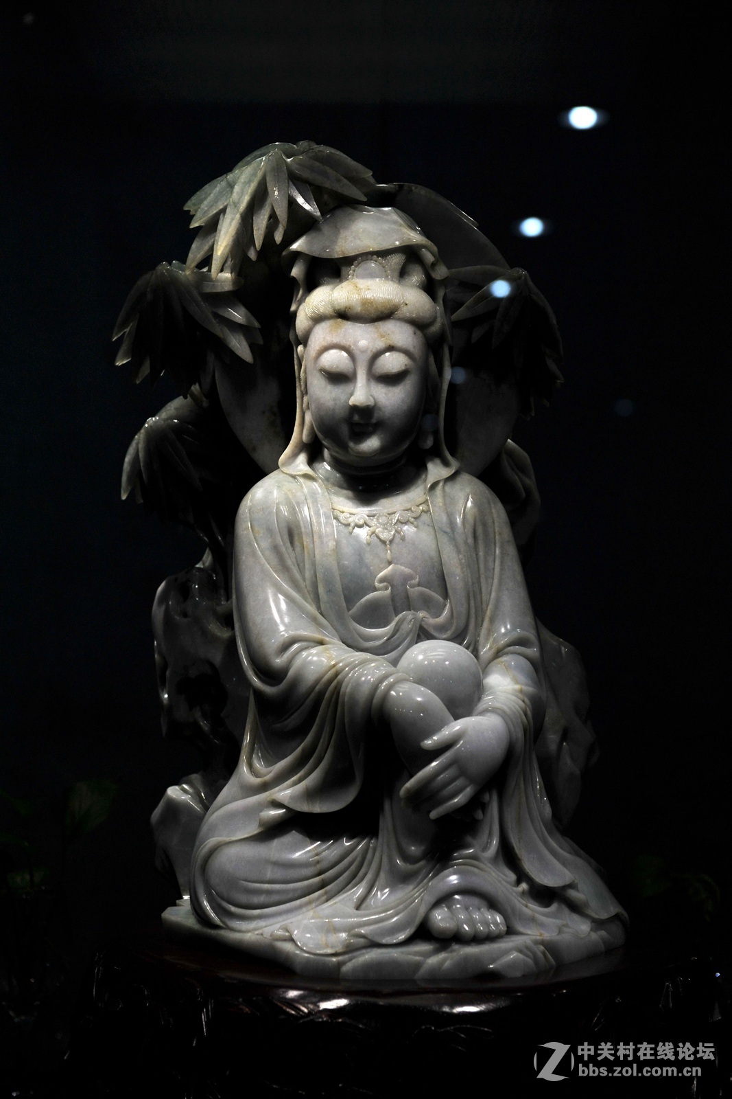 菩提萨埵--文博园摄（旭中冰雪)