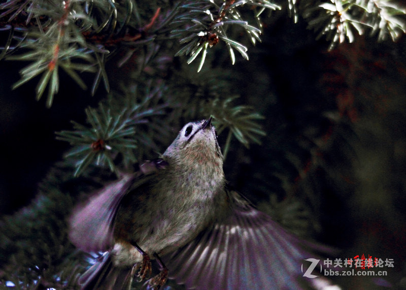 阳春三月春暖花开，来咱们看灯赏花啦！
