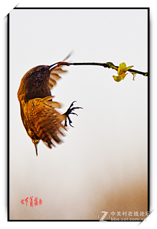 阳春三月春暖花开，来咱们看灯赏花啦！
