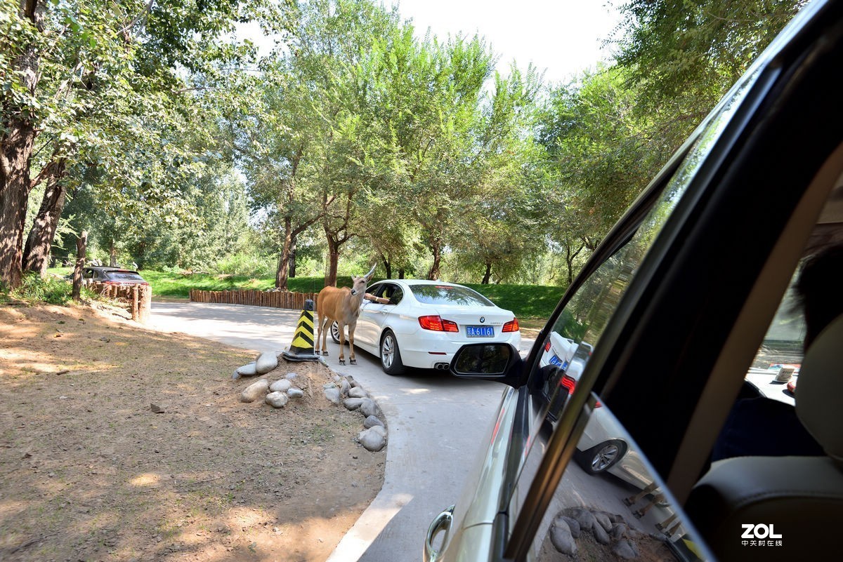 北京大兴野生动物园