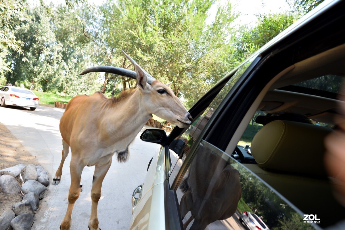 北京大兴野生动物园