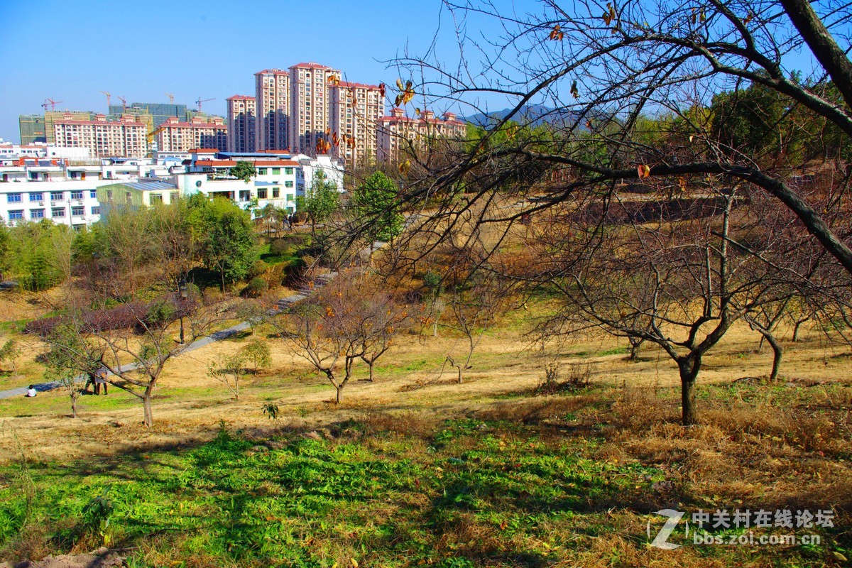 冬天来了，春天还会远吗？