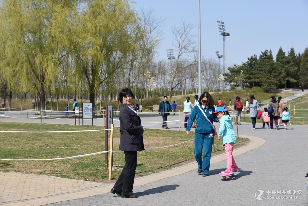 奥林匹克森林公园踏青