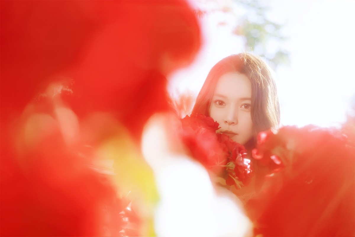 [[[楚 狂]]] 花 非 花