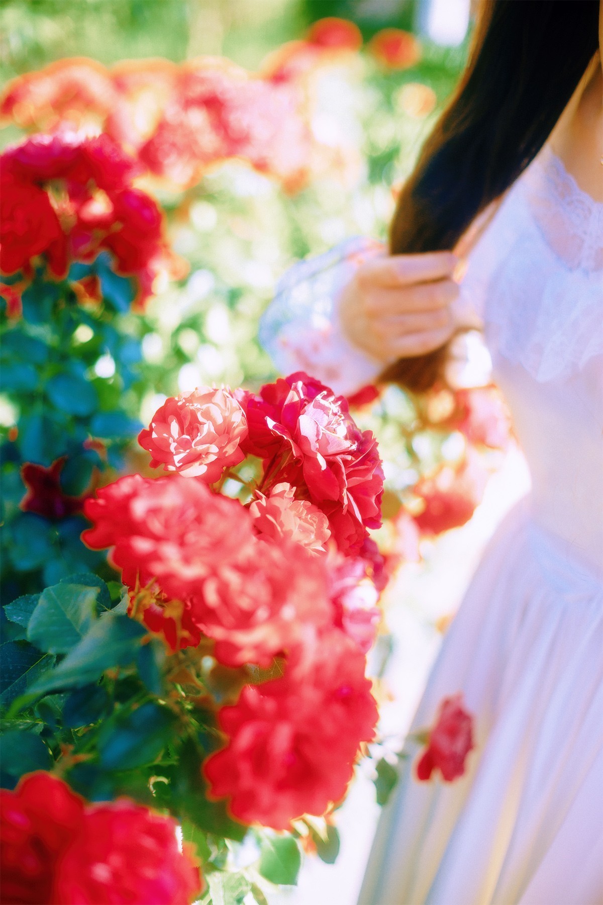 [[[楚 狂]]] 花 非 花