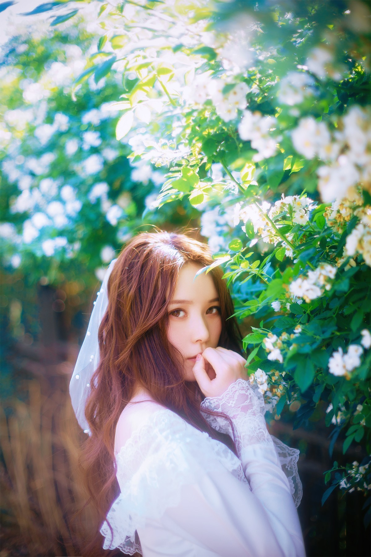 [[[楚 狂]]] 花 非 花