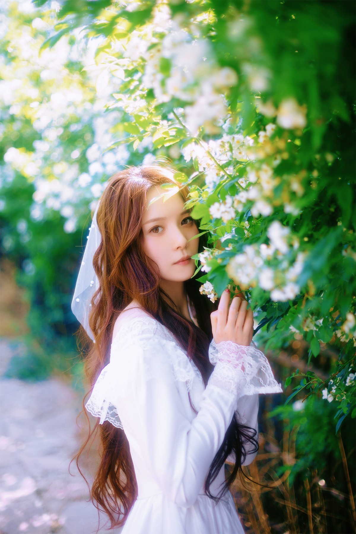 [[[楚 狂]]] 花 非 花