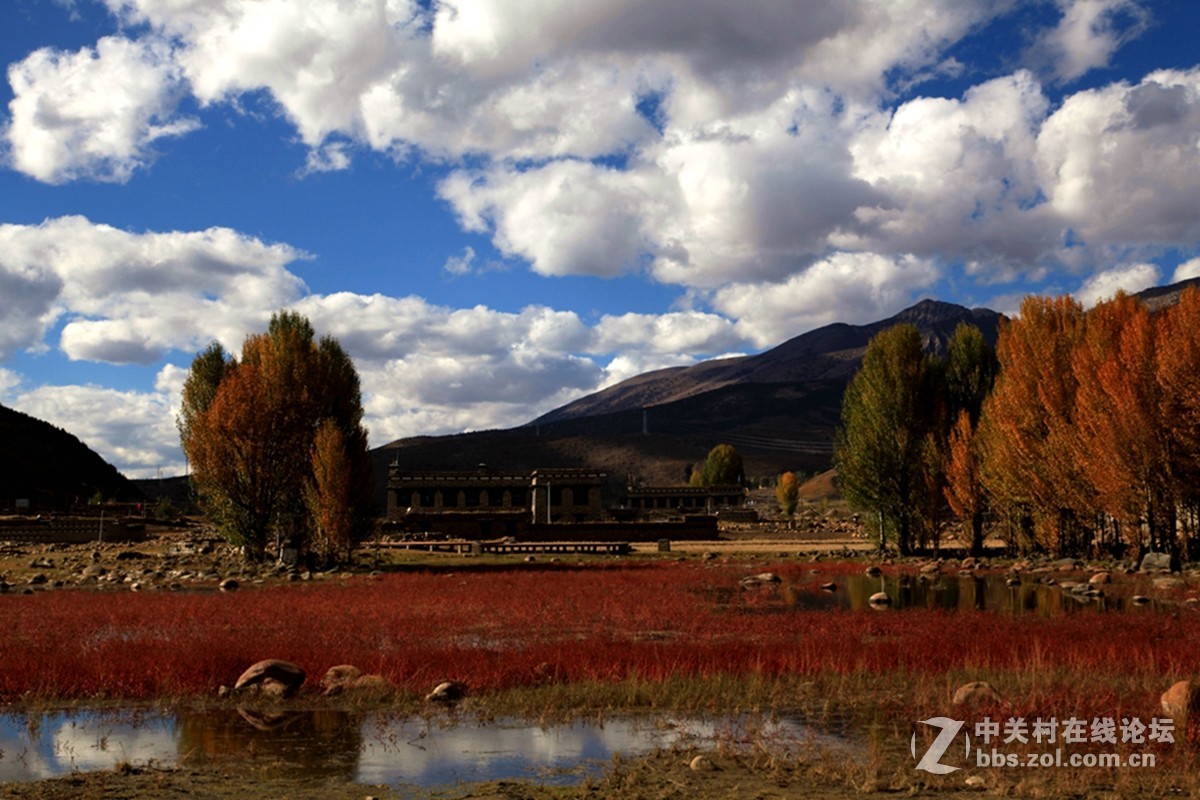 稻城桑堆镇红草地