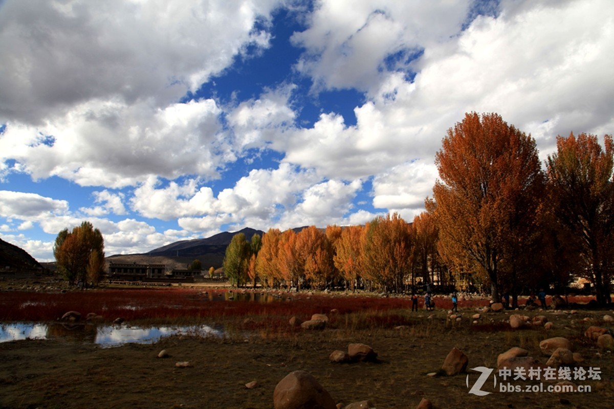 稻城桑堆镇红草地