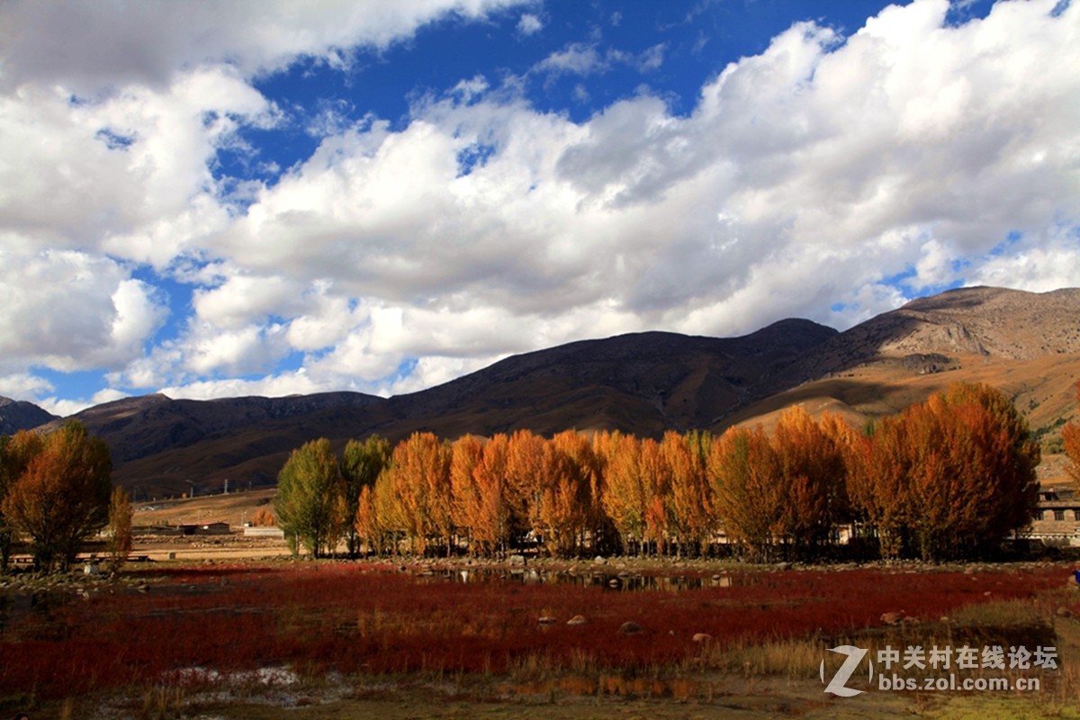 稻城桑堆镇红草地