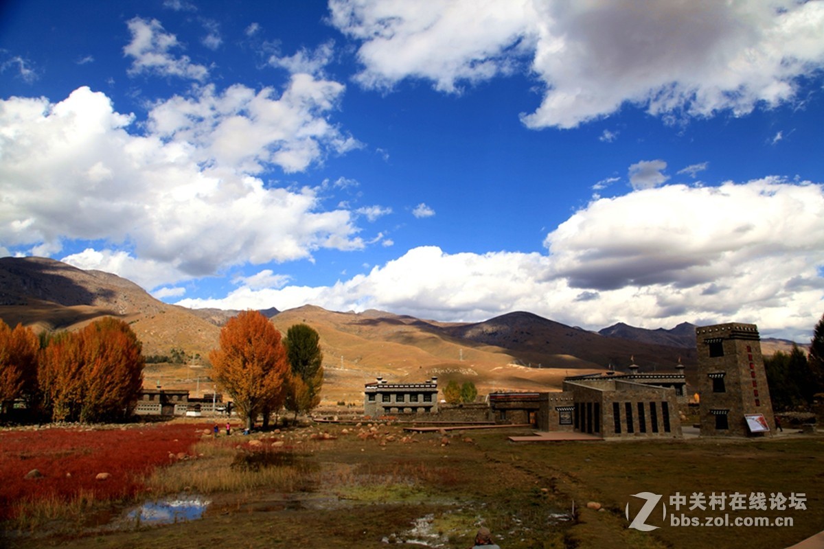 稻城桑堆镇红草地