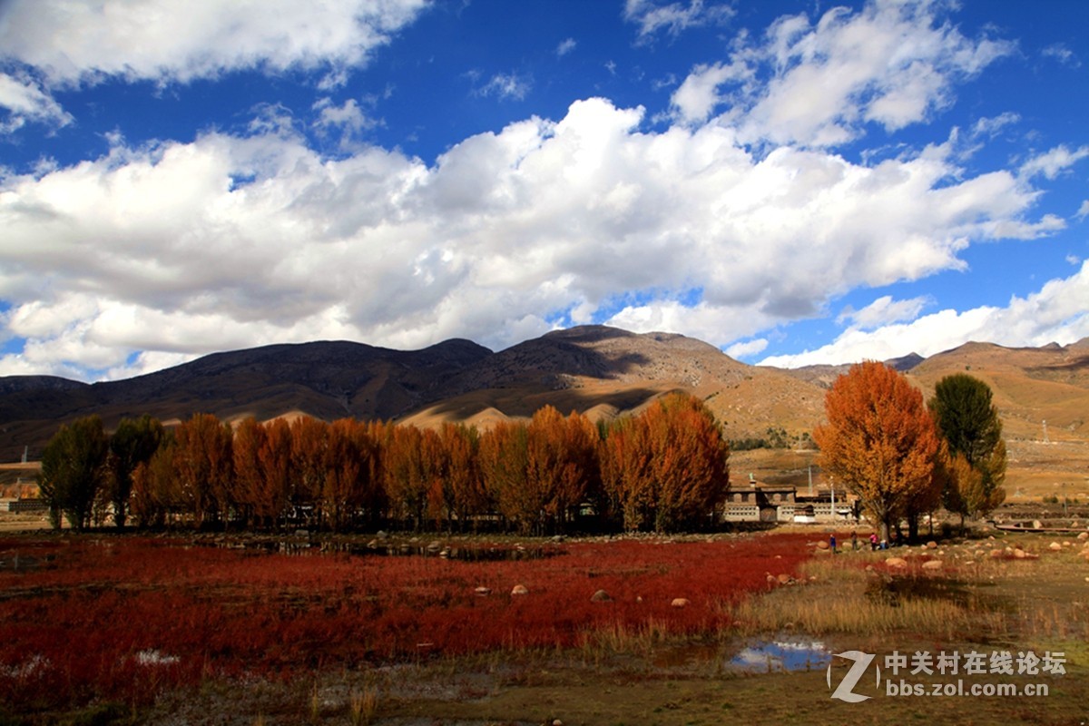 稻城桑堆镇红草地