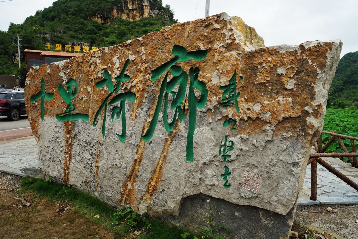 十里荷廊赏荷忙