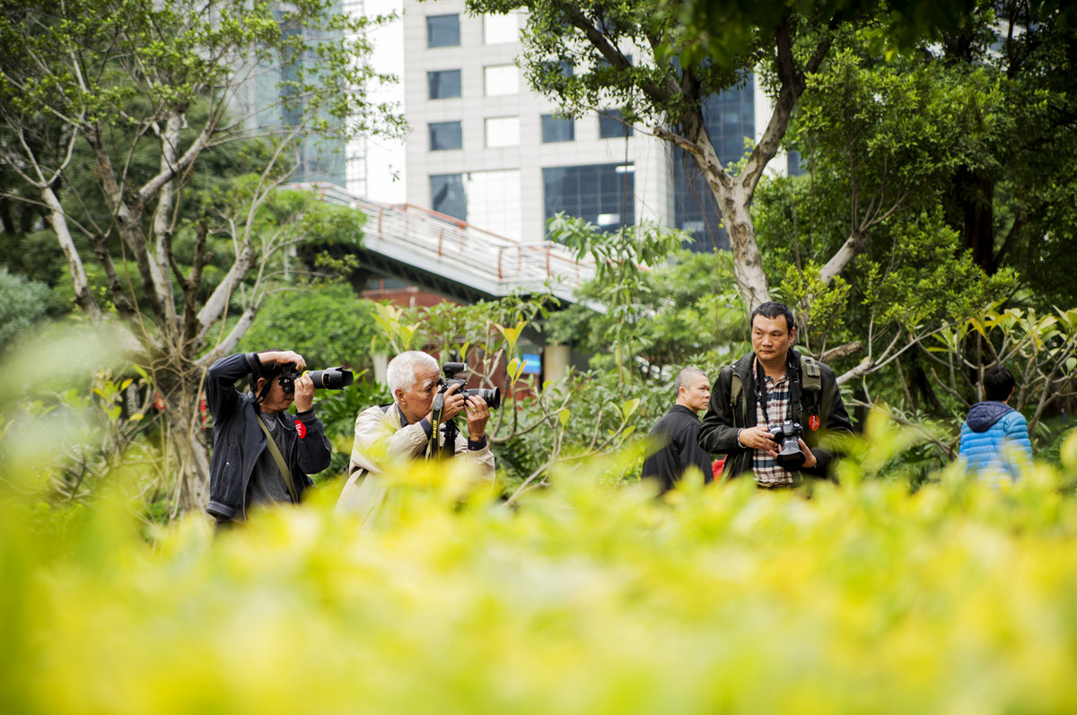 【美科“冬季到广州来看你” 广州星空(中国)2015年年会】..花絮..好色之徒