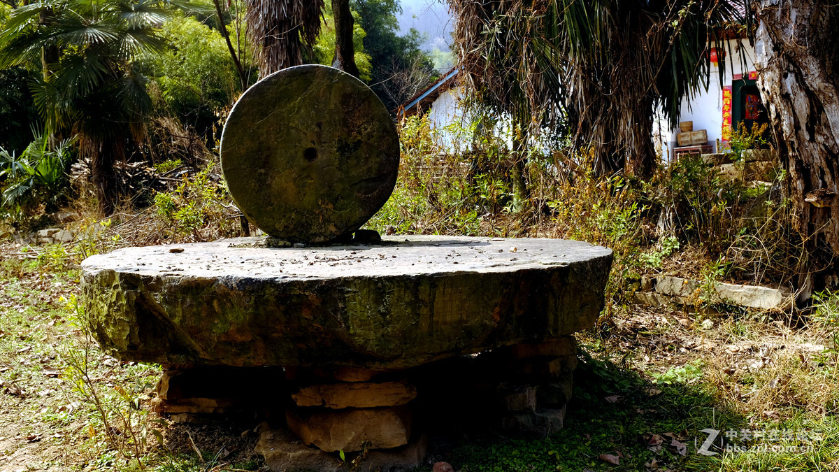 美丽乡村行，看看100t的色彩