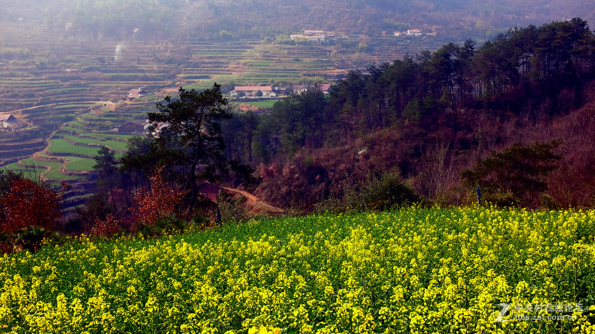美丽乡村行，看看100t的色彩