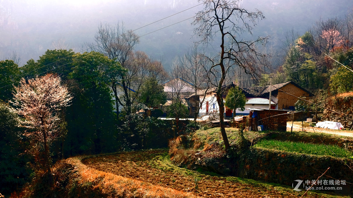 美丽乡村行，看看100t的色彩