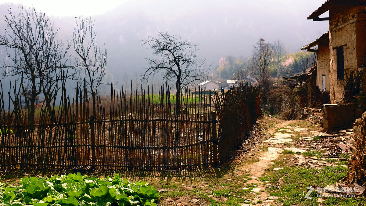 美丽乡村行，看看100t的色彩