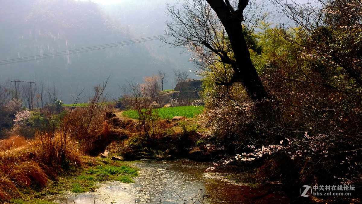 美丽乡村行，看看100t的色彩