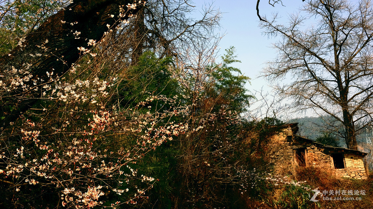 美丽乡村行，看看100t的色彩